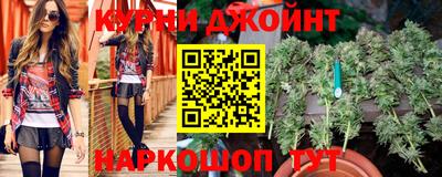 гашик Ирбит
