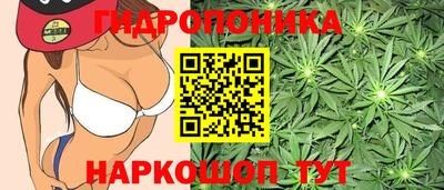 гашик Ирбит
