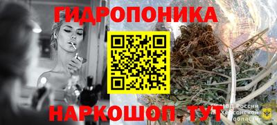 гашик Ирбит