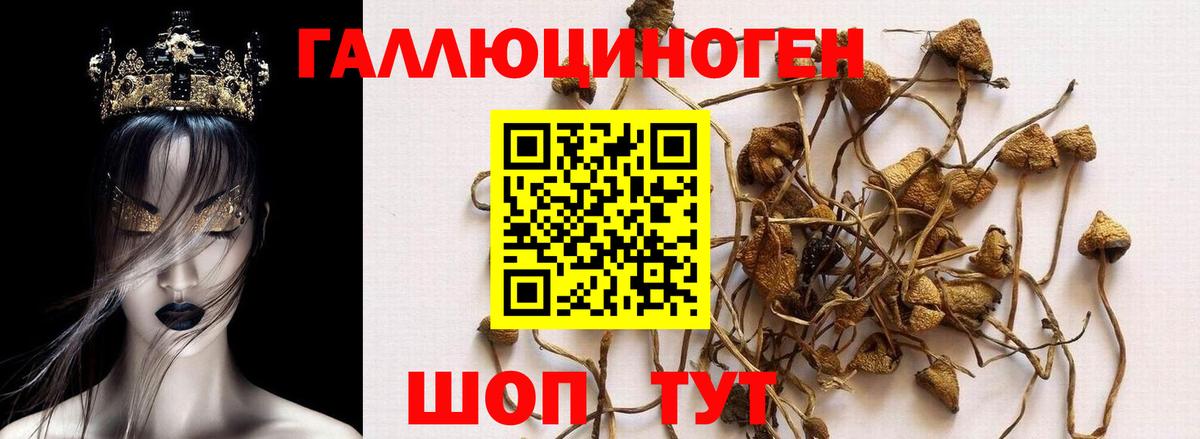 Галлюциногенные грибы GOLDEN TEACHER Благовещенск