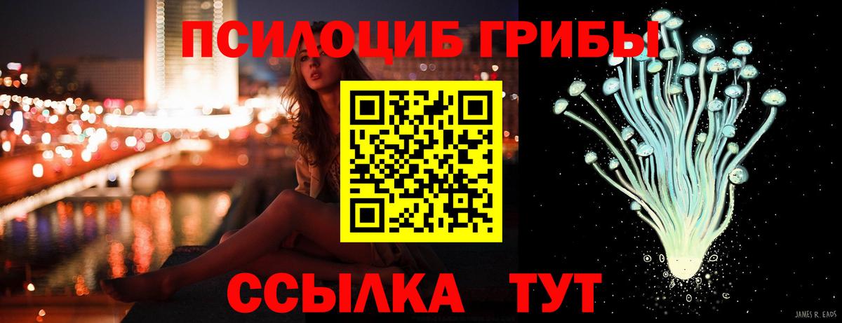 Галлюциногенные грибы MAGIC MUSHROOMS  цена   Благовещенск  Вход с VPN 